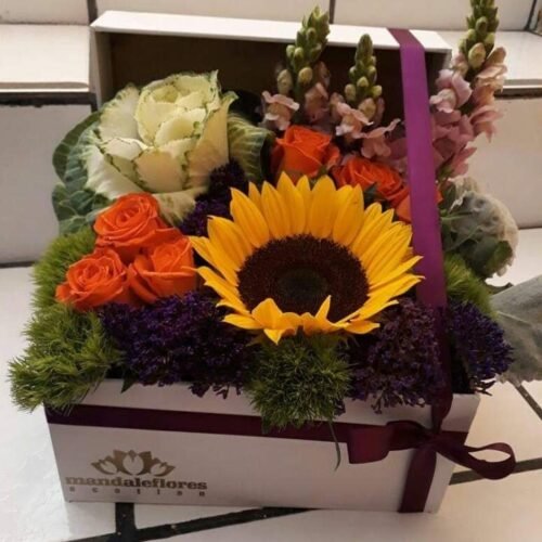 Caja Ursula Blanca