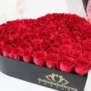 🌹 Solo Rosas
