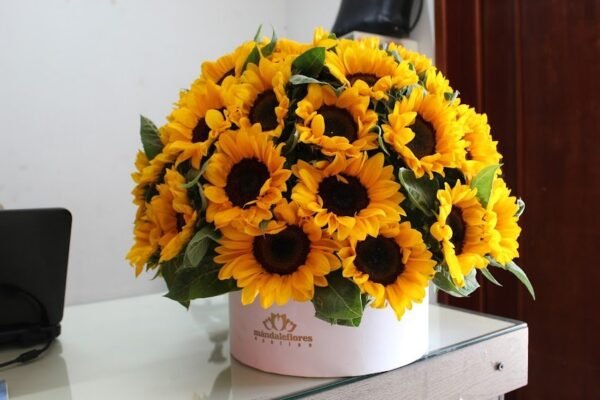 Caja Circular Gde 50 Girasoles