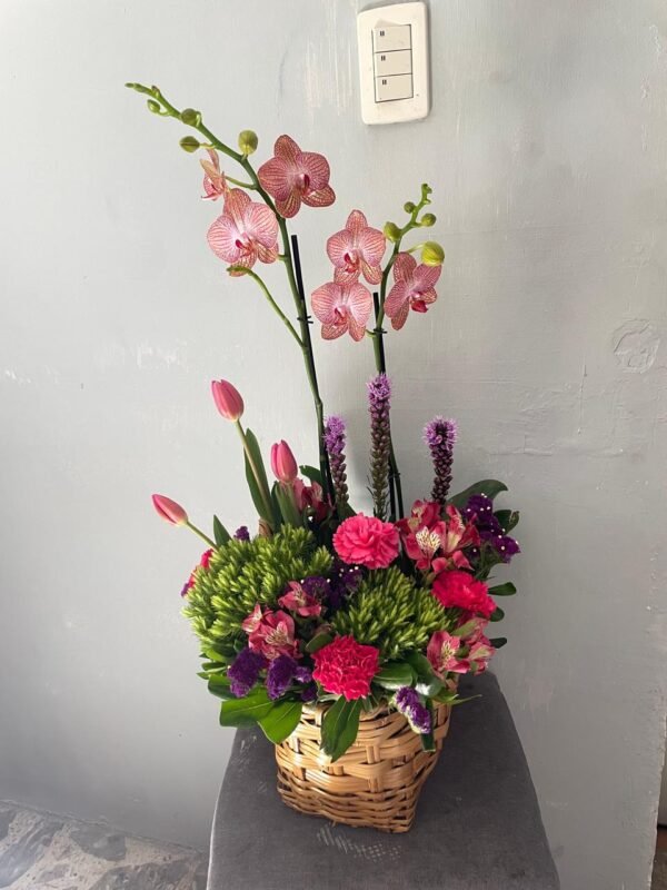 Orquidea con Tulipanes y Claveles - Image 2