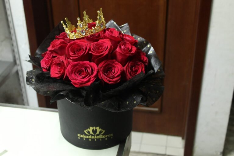 Caja Circular Ch Tobby con Coronita