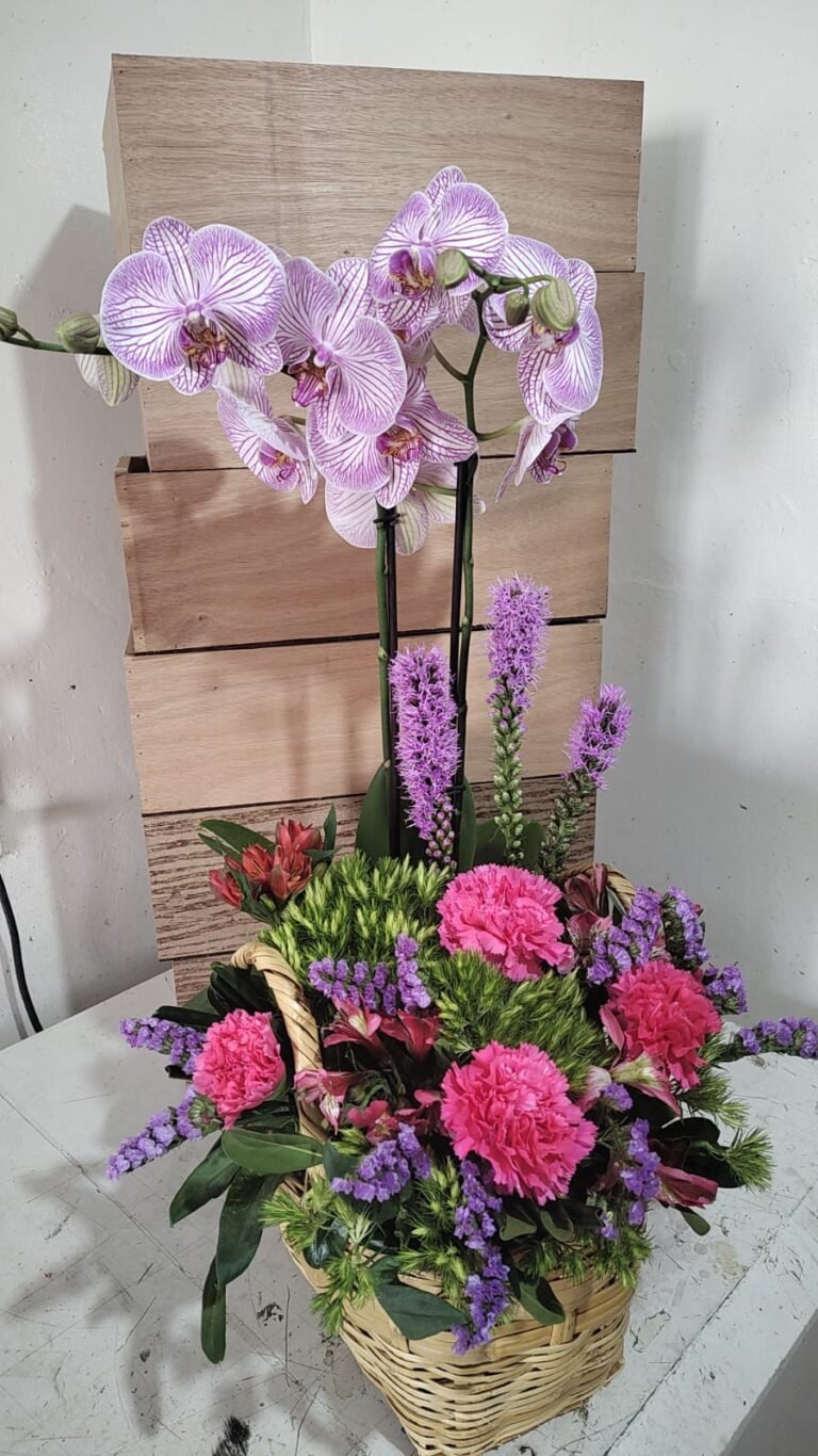 Orquidea con Claveles y Leatriz