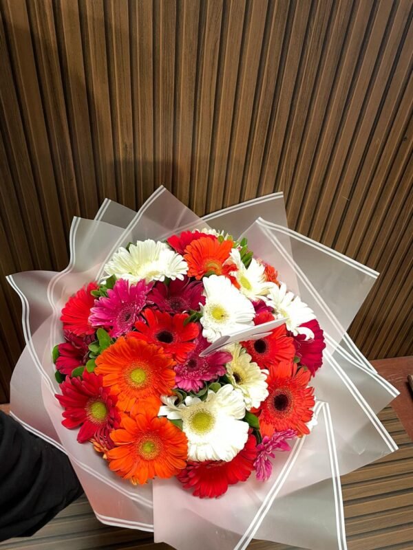 Ramo 30 gerberas coloridas