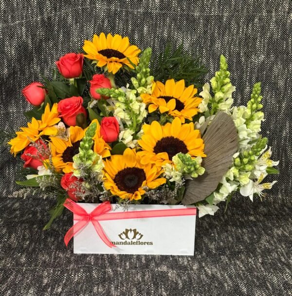 Caja 24 Helianthus annuus