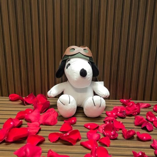 Snoopy Aviador
