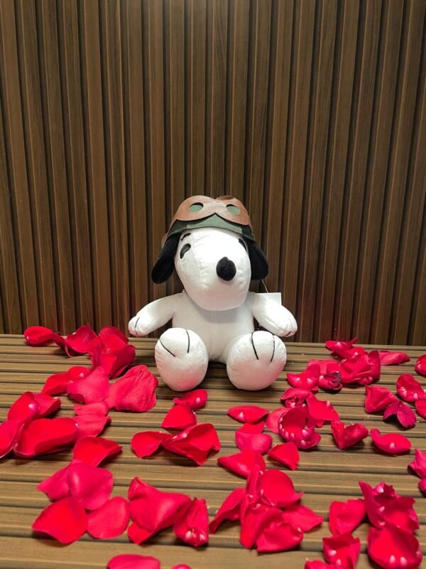 Snoopy Aviador