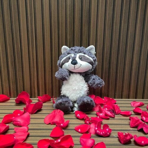 Mapache