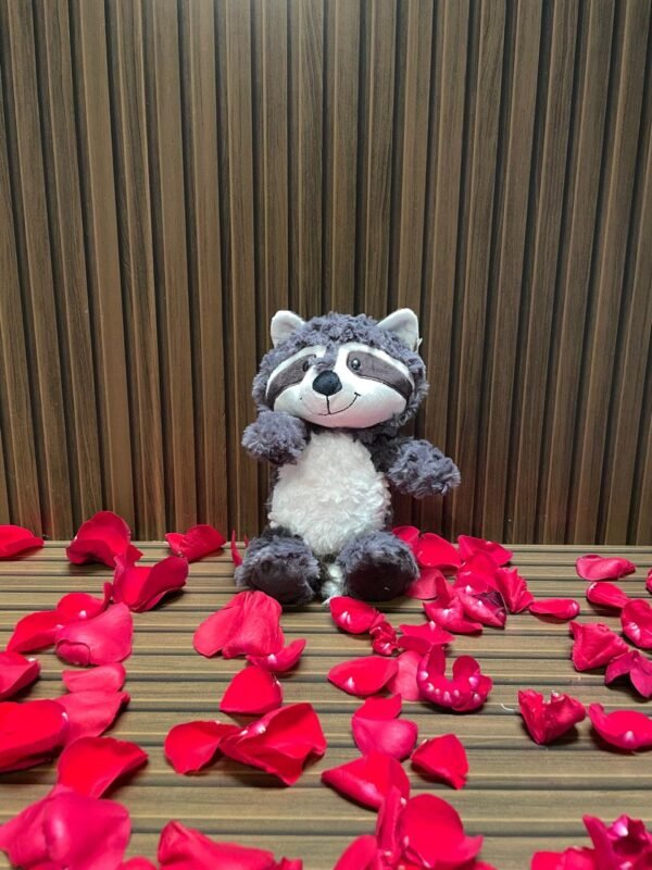 Mapache