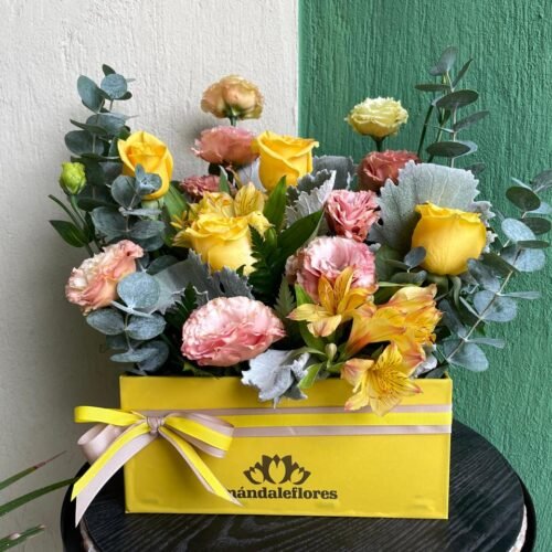 Caja 24 Rayito de Sol