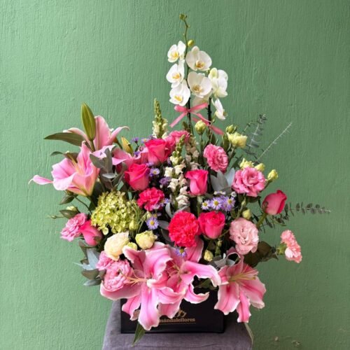 Caja thamira con orquidea