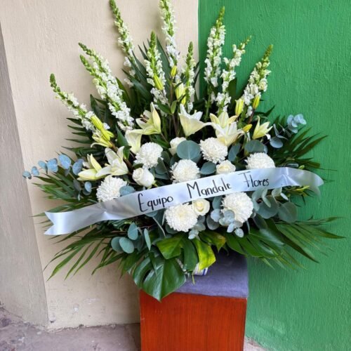 Pie de caja con polares