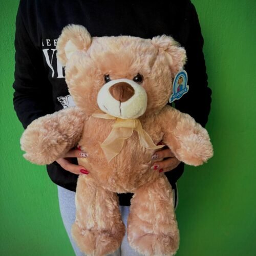 Osito de peluche 30cm