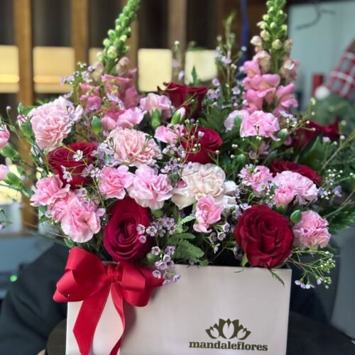 Caja 24 Pasion y Ternura