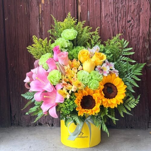 Cilindro ch Sol de Primavera