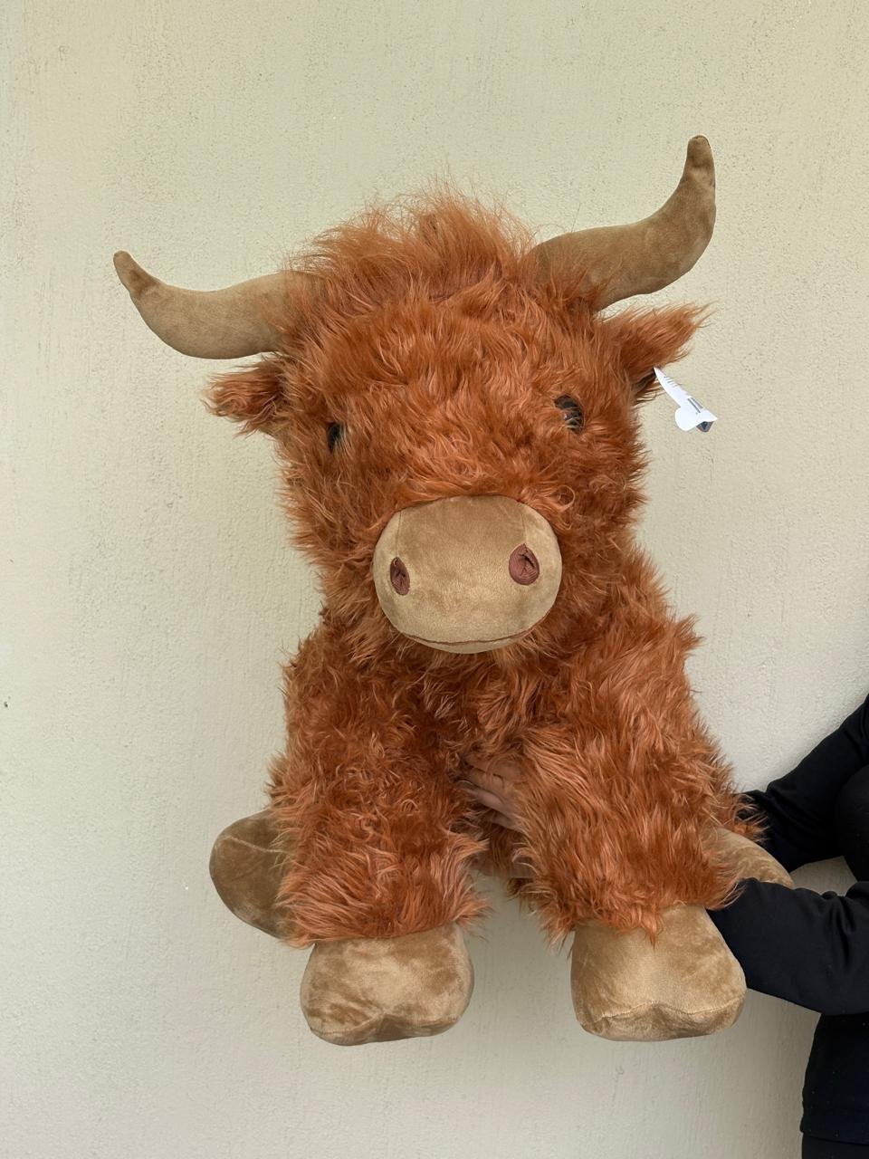 Toro bruno 60cm